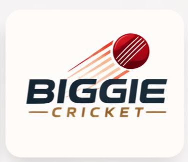 Social media marketing and content creation for Biggie Cricket cricket store and sports equipment brand Panchkula Haryana by DG Digital Media